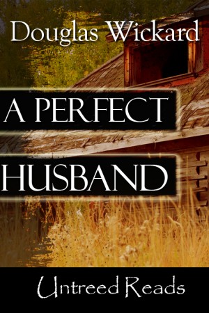 A Perfect Husband