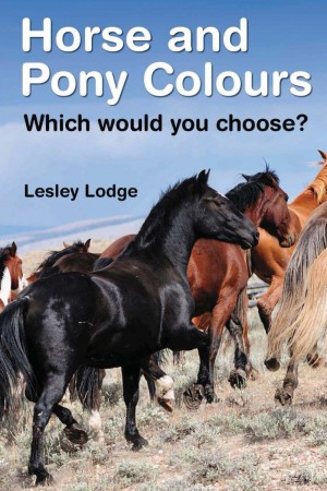 Horse and Pony Colours : Lesley Lodge