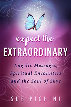 Expect the Extraordinary : Sue Pighini