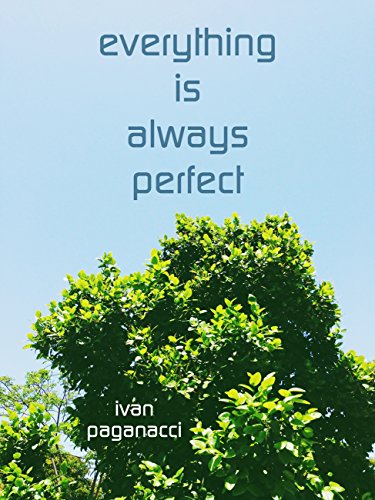 Everything Is Always Perfect : Ivan Paganacci