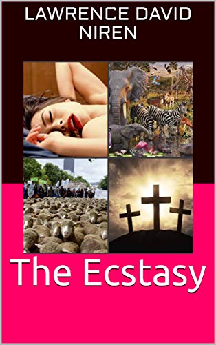 The Ecstasy : Lawrence David Niren