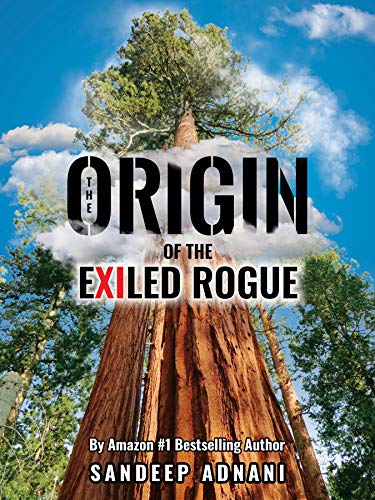 The Origin of the Exiled Rogue : Sandeep Adnani